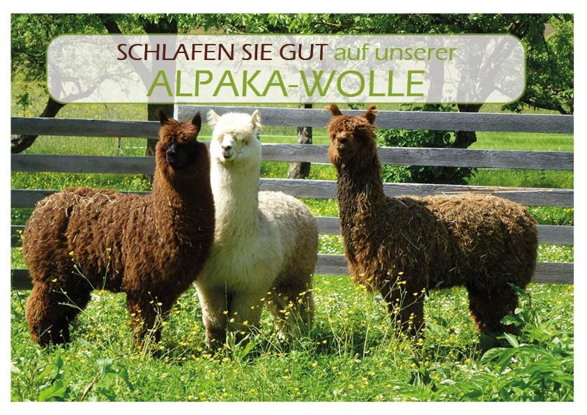 Landhotel Osswald Kirchheim am Ries Zewnętrze zdjęcie